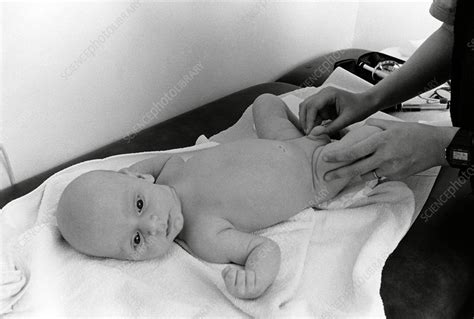 imsrgu|137 Pénis Enfant Stock Photos, High.